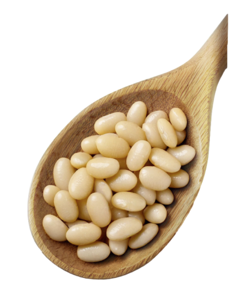 WURZENER Weiße Bohnen